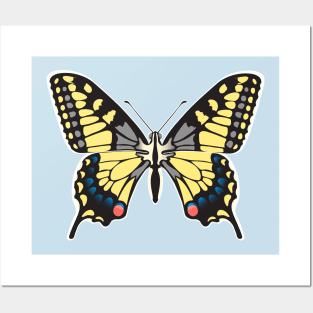 Papilio machaon Posters and Art